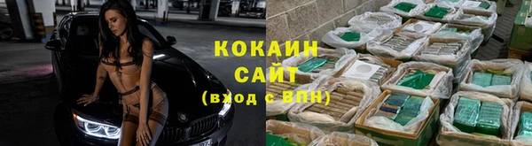spice Арсеньев