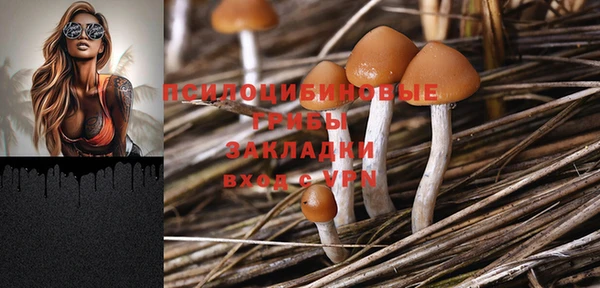 соль курить ск Аркадак